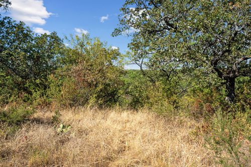 Tract 7 State Highway 6, Moran, TX, 76464 | Card Image