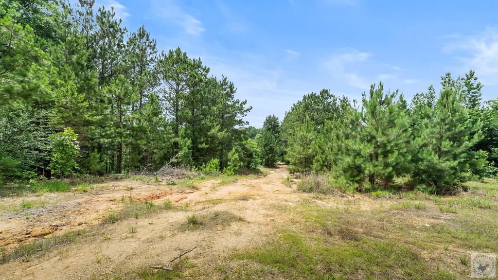 Land in Texarkana 2
