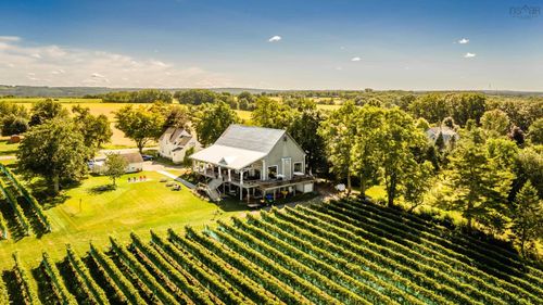 {{alt}} | Card Image