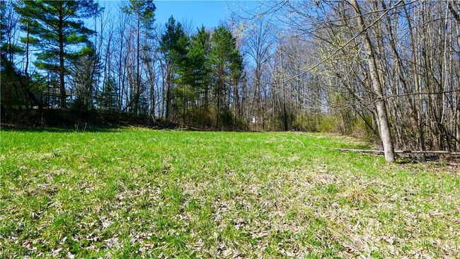 View of yard | Image 35