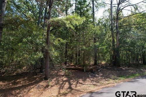 18 Angelina St N, Mount Vernon, TX, 75457 | Card Image