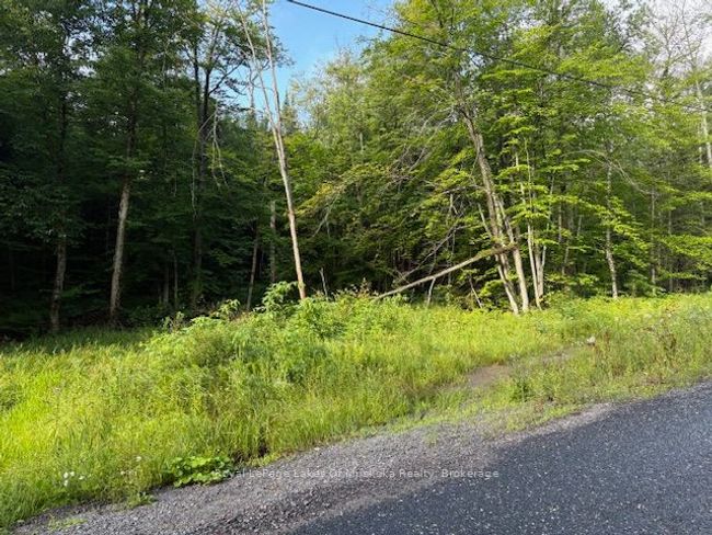 60 Summer Leigh Trail, Home with 0 bedrooms, 0 bathrooms and null parking in Utterson ON | Image 6