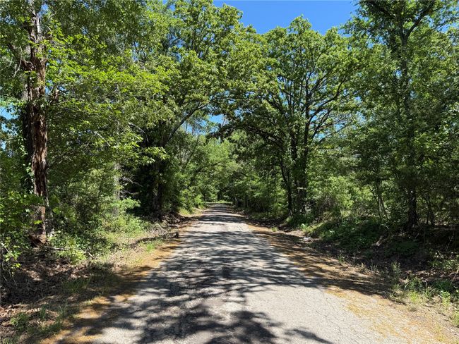 72 N Farm Road 900 N, Home with 0 bedrooms, 0 bathrooms and null parking in Saltillo TX | Image 24