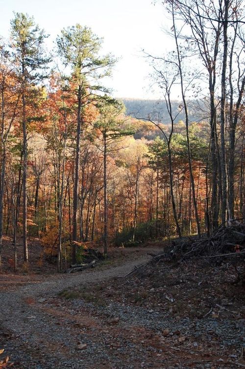 Lt 29A/B Paradise Lane, Ellijay, GA, 30540 | Card Image