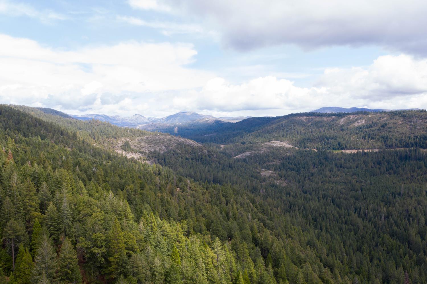 Land in Nevada City 5