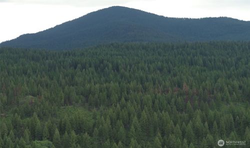 0 Mount Annie Road, Wauconda, WA, 98859 | Card Image