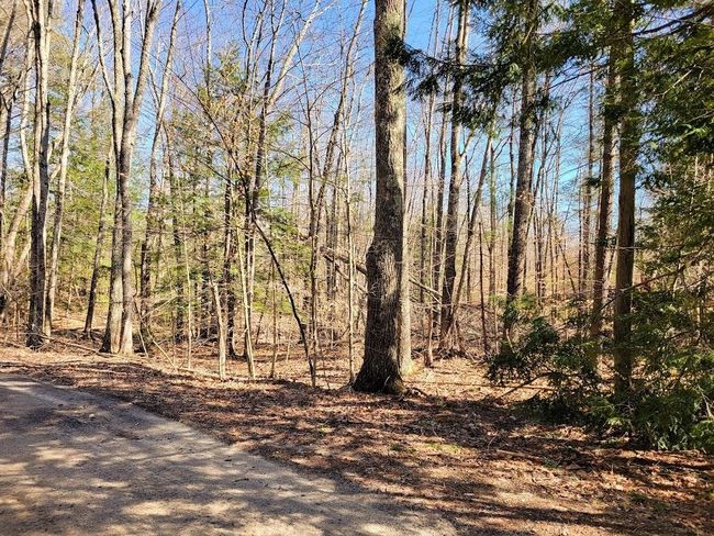 72 - 61 Canterbury Shore Drive, Home with 0 bedrooms, 0 bathrooms and null parking in Canterbury NH | Image 5
