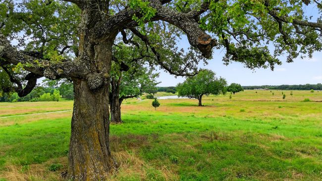 1052 Bones Chapel Rd, Home with 0 bedrooms, 0 bathrooms and null parking in Whitesboro TX | Image 20