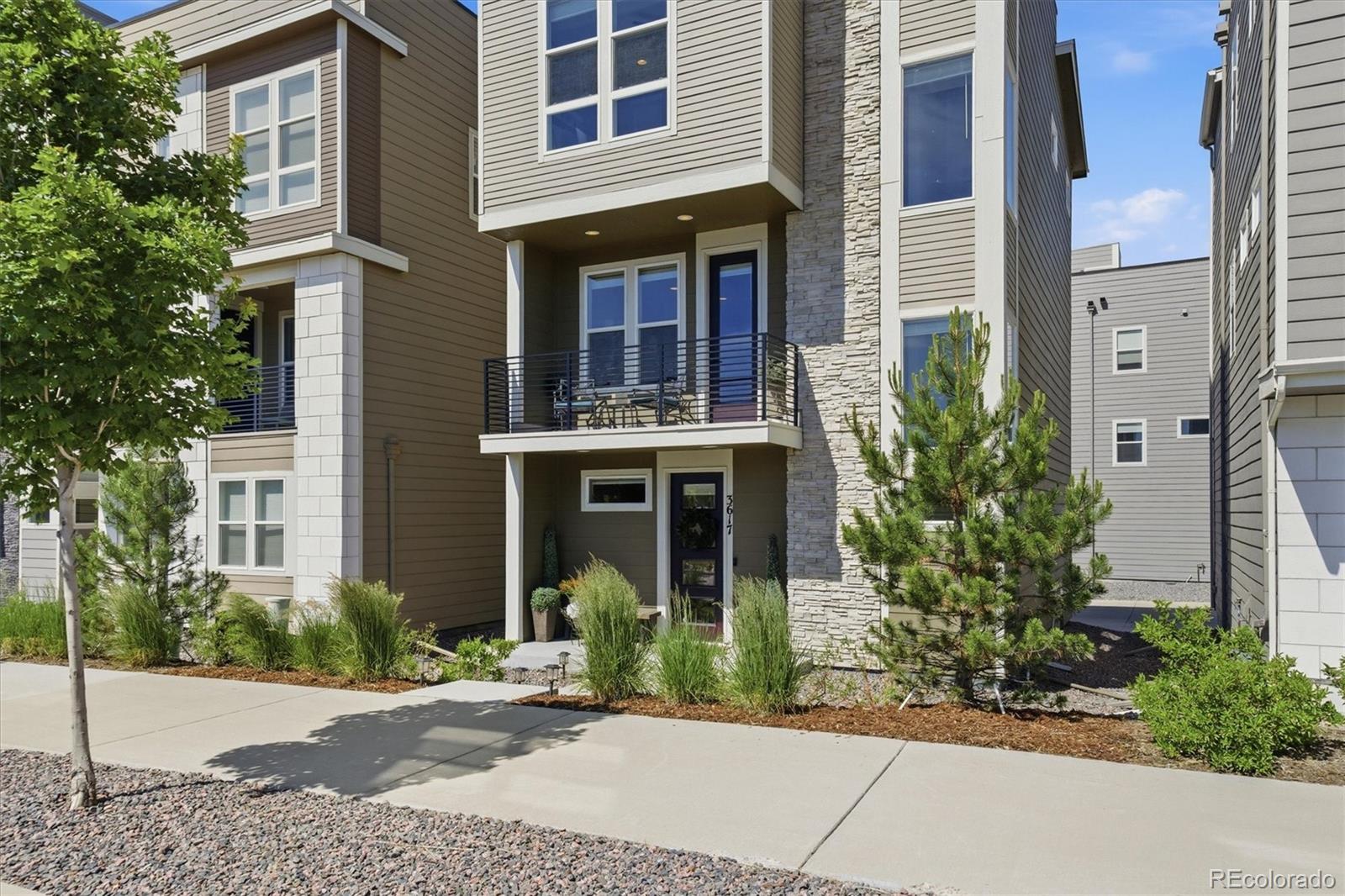 Residential in Castle Rock