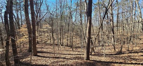 Tract Friendship Trail, Talking Rock, GA, 30175 | Card Image