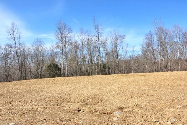 Lots 26 &amp; 27 Cherokee Road, Home with 0 bedrooms, 0 bathrooms and null parking in Lucas KY | Image 9