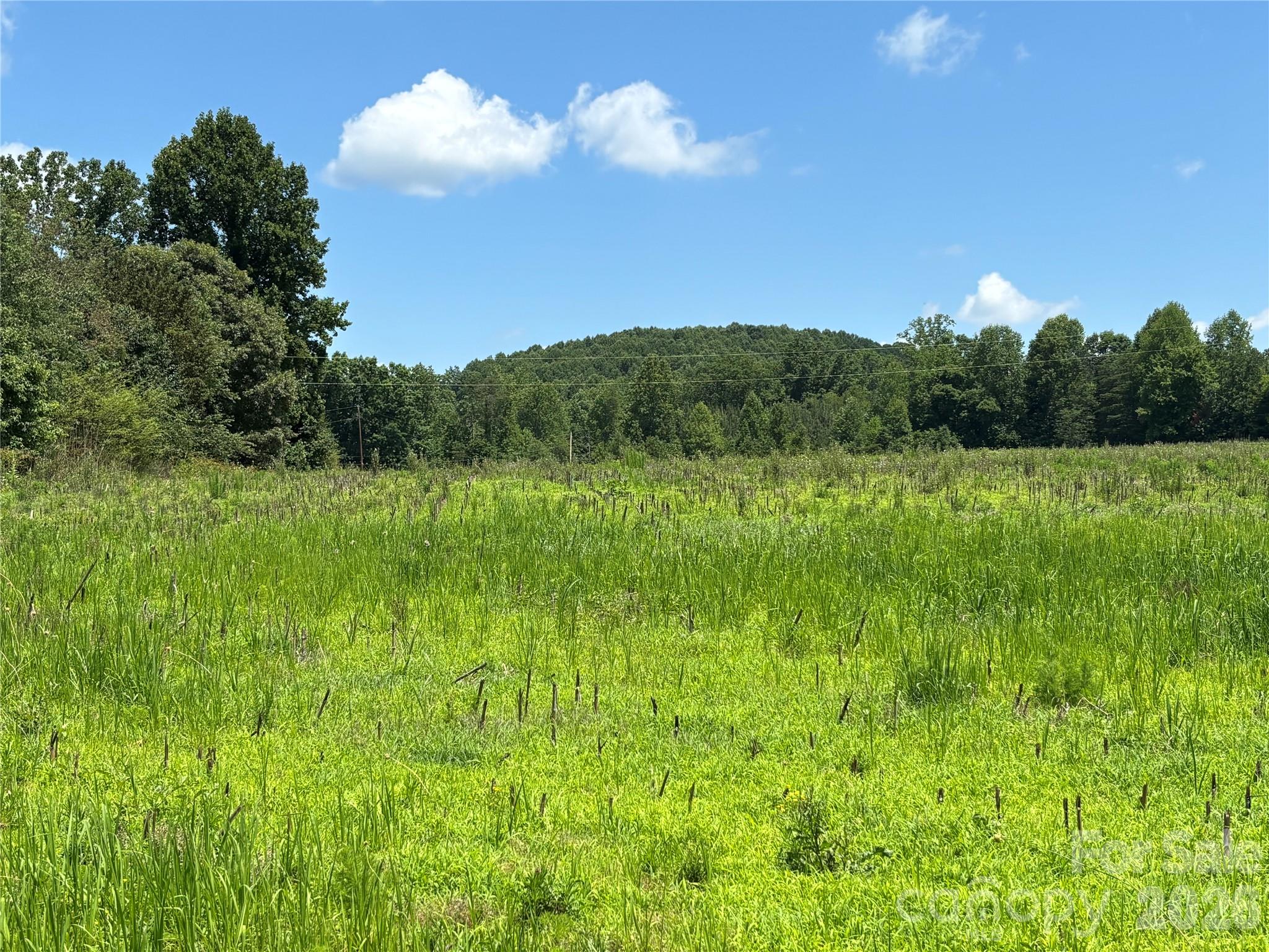 Land in Statesville 2