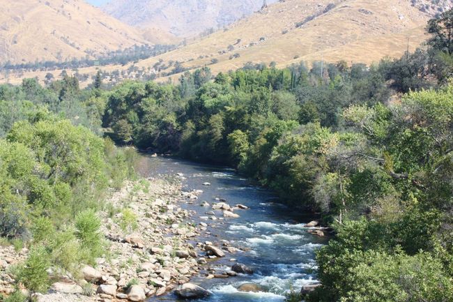 Kern River | Image 23
