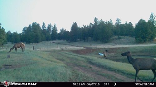 7-5356 Stonehouse Dr, Flagstaff, AZ, 86005 | Card Image