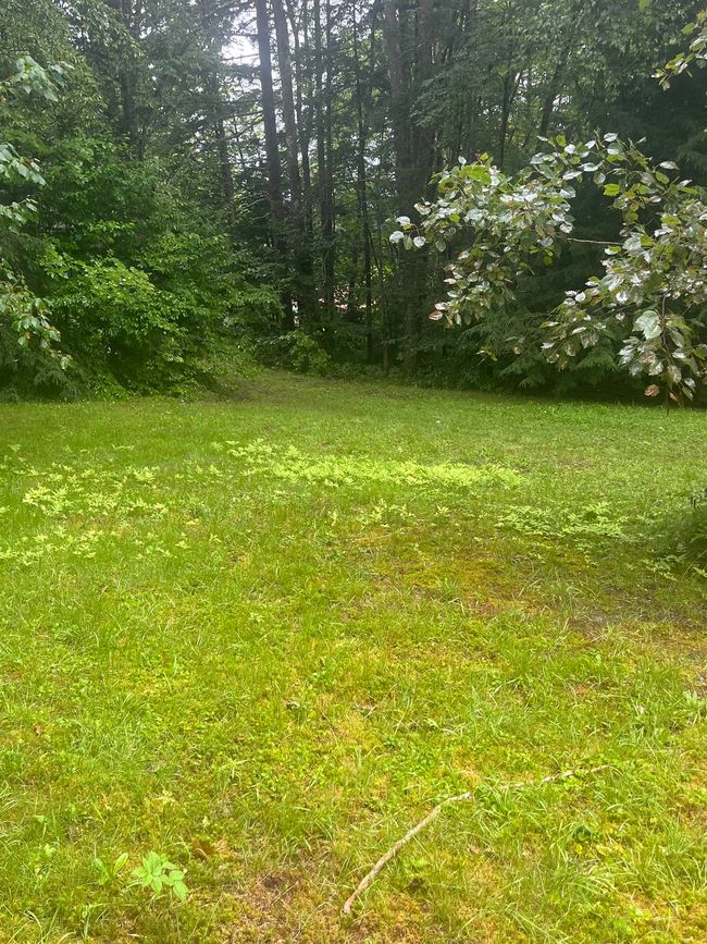 603 Corporation Rd, House other with 2 bedrooms, 0 bathrooms and null parking in Rochester VT | Image 18