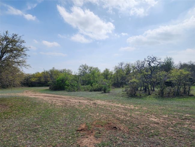 212 Oak Glen Ln, Home with 0 bedrooms, 0 bathrooms and null parking in Briggs TX | Image 17