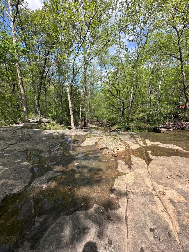 Natural Bridge | Image 40