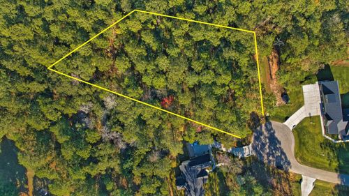 8602 Cedar Meadow Ln, Plantersville, TX, 77363 | Card Image