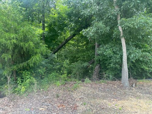 0 Chestnut Ridge Dr, Sugar Tree, TN, 38380 | Card Image