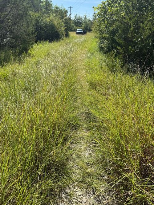 1156 Ridge Dr S, Cleburne, TX, 76033-8252 | Card Image