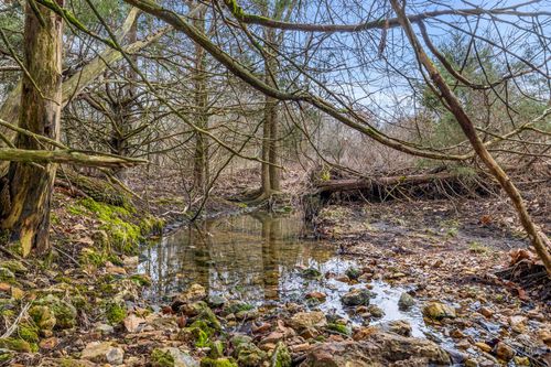 3802 Hatfield Rd, Norwood, MO, 65717 | Card Image