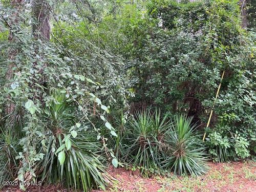 317 Crestwood Cir, Pinetops, NC, 27864-9897 | Card Image