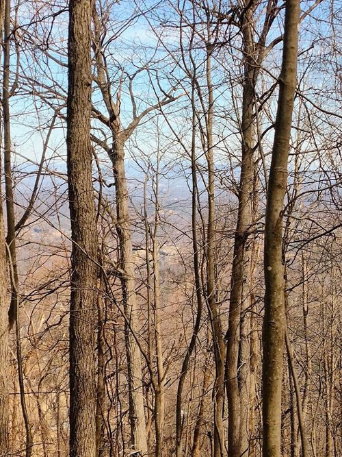 0 Bent Mountain Rd, Bent Mountain, VA, 24059 | Card Image