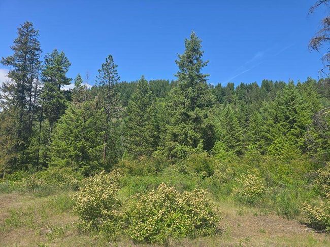 3715 Hill Loop Rd, Home with 0 bedrooms, 0 bathrooms and null parking in Kettle Falls WA | Image 16