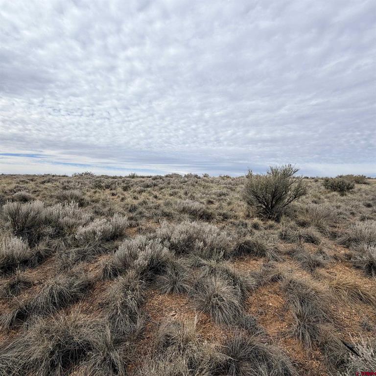Land in Cortez 5
