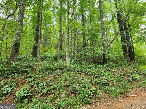 TRACT 2A Poplar Cove Rd, Suches, GA, 30572 | Card Image