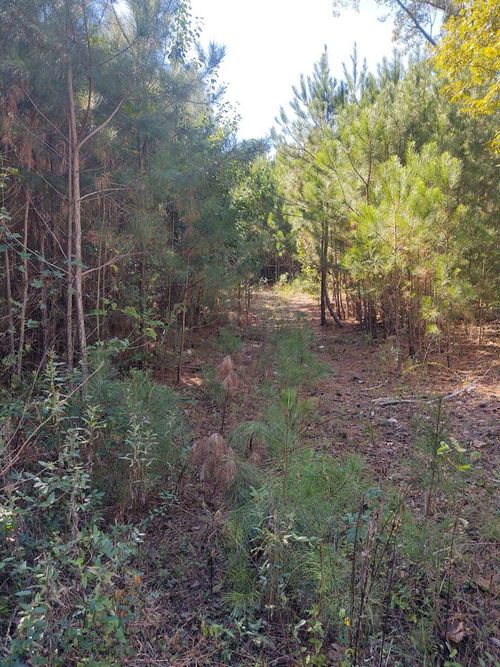00 Clement Rd, ROCKY FACE, GA, 30740 | Card Image