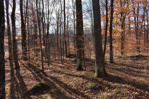 N13315 Harper Road, SILVER CLIFF, WI, 54104 | Card Image