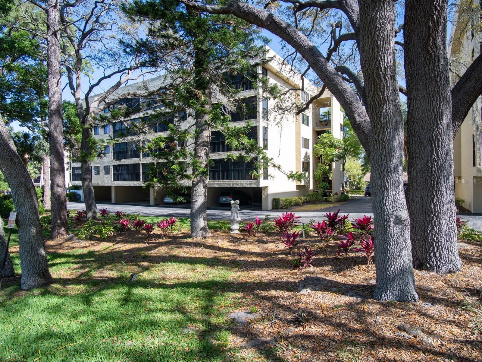 Golfview Dr, Tarpon Springs, FL 34689