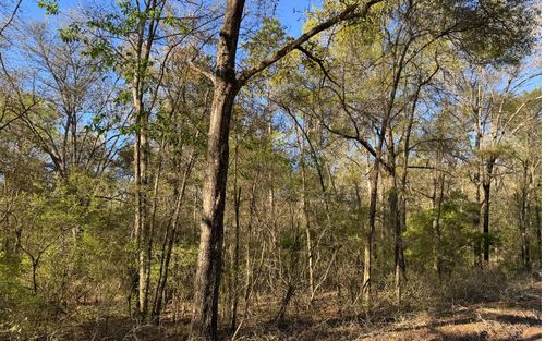 TBD 206th Ter, O Brien, FL, 32071 | Card Image