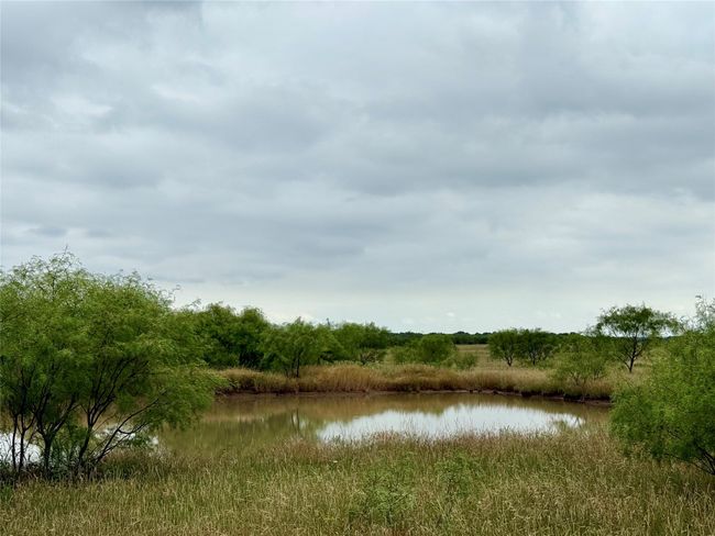 0000 Turtle Hole Rd, Home with 0 bedrooms, 0 bathrooms and null parking in Graham TX | Image 7