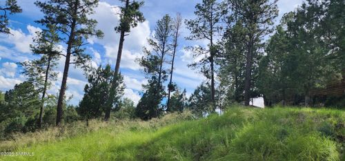213 3rd St, Ruidoso, NM, 88345-7543 | Card Image