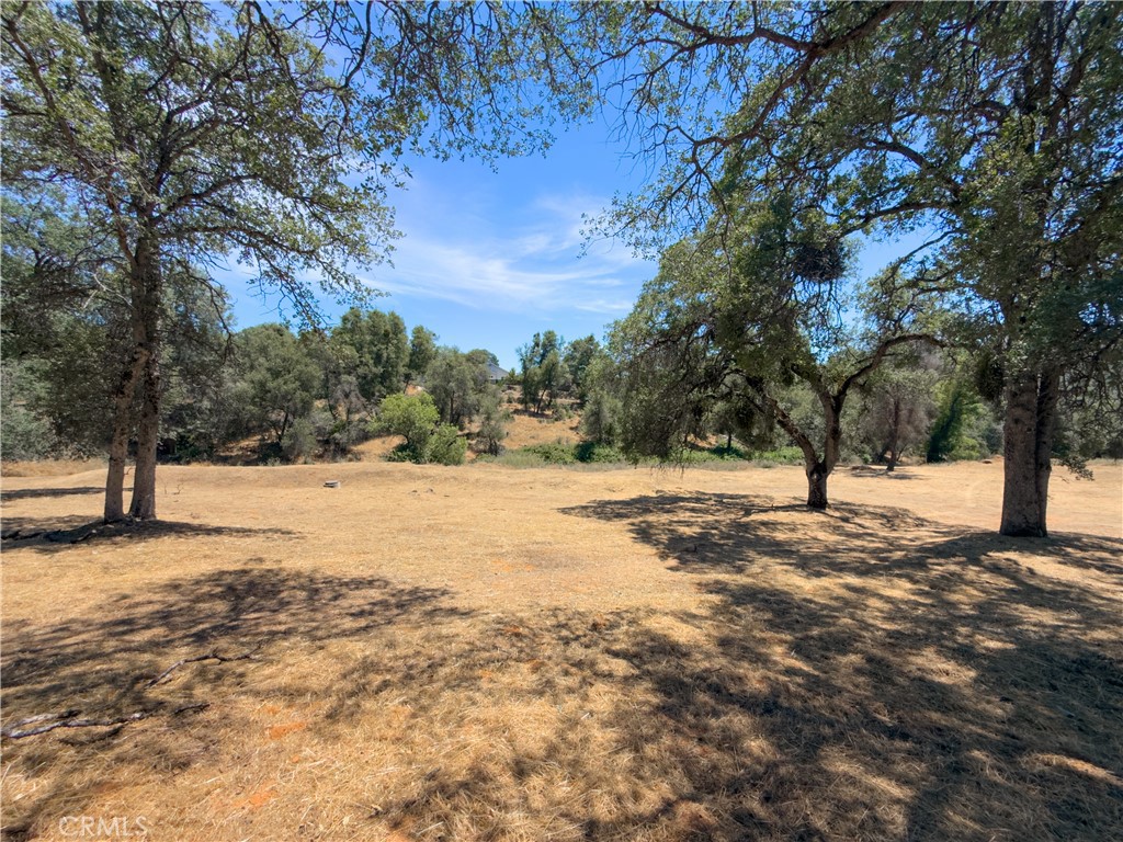 Land in Mariposa 3