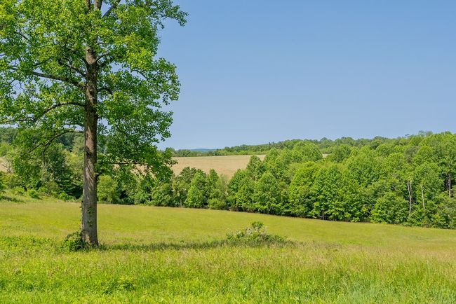 688 Gibson Knob Rd, Home with 0 bedrooms, 0 bathrooms and null parking in Laurel Fork VA | Image 84