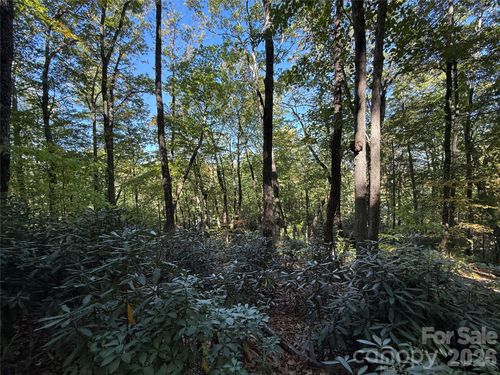 Lot 81 - R Kenmure Drive, Flat Rock, NC, 28731 | Card Image