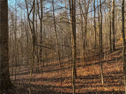 Lot 12 Mount Mincie Road, Murrayville, GA, 30564 | Card Image