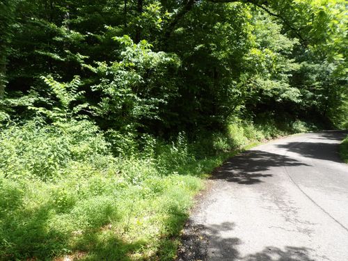 0 East Blue Creek Road, Mc Ewen, TN, 37101 | Card Image