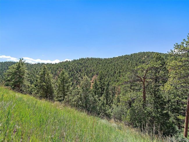 13809 Elsie Rd, Home with 0 bedrooms, 0 bathrooms and null parking in Conifer CO | Image 9