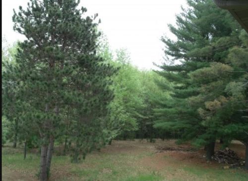 N2837 Ona Pines Road, MUKWA, WI, 54883 | Card Image