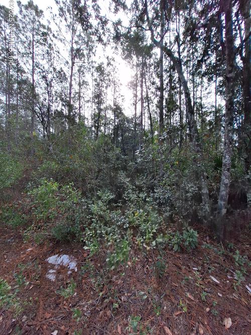000 E Saint Johns St, Palatka, FL, 32177 | Card Image