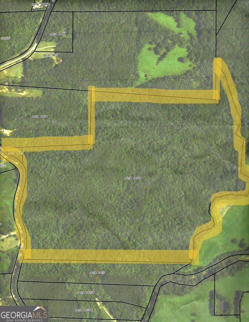 0 George Green Rd, Tallapoosa, GA, 30176 | Card Image