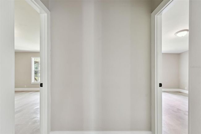 26771 Deacon Loop, House other with 4 bedrooms, 2 bathrooms and null parking in WESLEY CHAPEL FL | Image 52