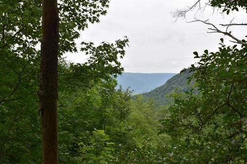 0 Pine Knot Pass, Jasper, TN, 37347 | Card Image