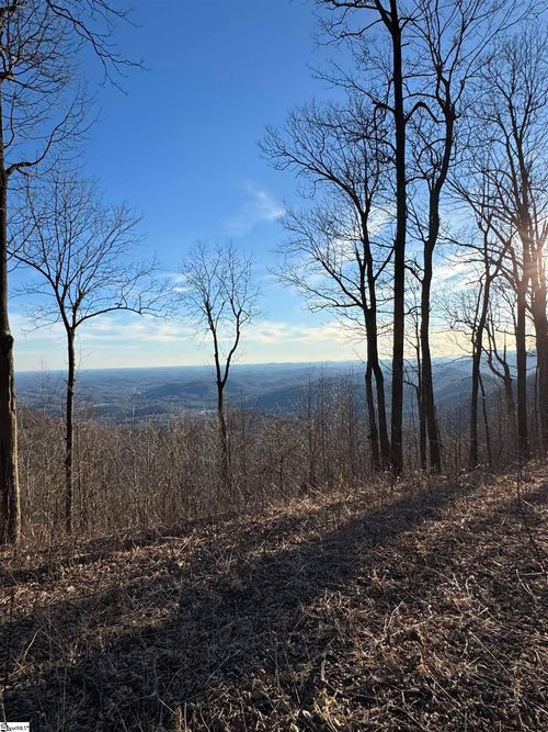 278 Bella Vista Ct, Zirconia, NC, 28790-0320 | Card Image