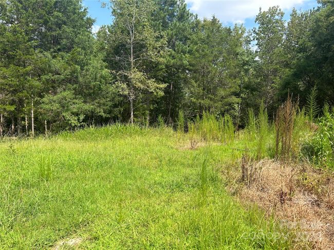 5630 Woodsferry Rd, Home with 0 bedrooms, 0 bathrooms and null parking in Carlisle SC | Image 6