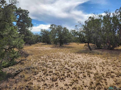 136 Ponderosa View Loop, Pie Town, NM, 87827 | Card Image